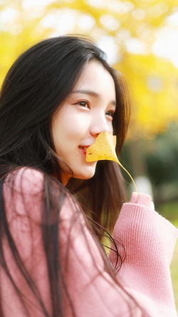 日本老鸭窝经典回顾